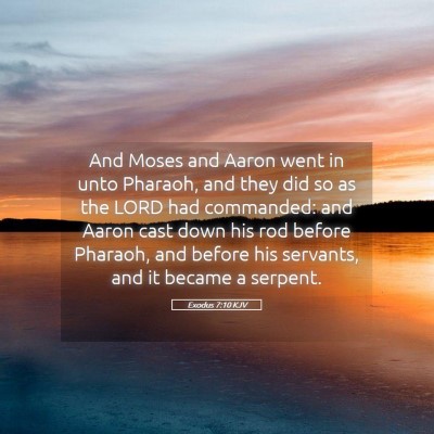 Picture 05 - Exodus 7:10 KJV - And Moses and Aaron went in unto Pharaoh, and - Bible Verse Picture