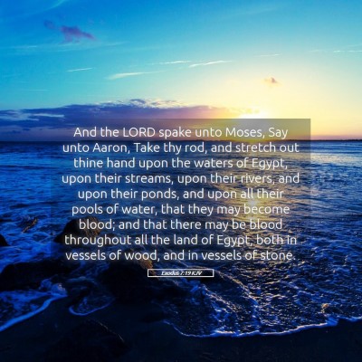 Picture 05 - Exodus 7:19 KJV - And the LORD spake unto Moses, Say unto Aaron, - Bible Verse Picture