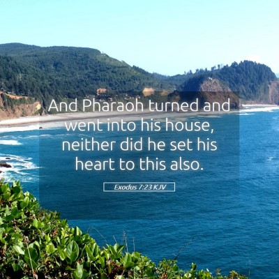 Picture 05 - Exodus 7:23 KJV - And Pharaoh turned and went into his house, - Bible Verse Picture