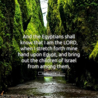 Picture 05 - Exodus 7:5 KJV - And the Egyptians shall know that I am the LORD, - Bible Verse Picture