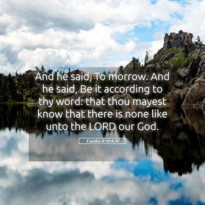 Picture 05 - Exodus 8:10 KJV - And he said, To morrow. And he said, Be it - Bible Verse Picture