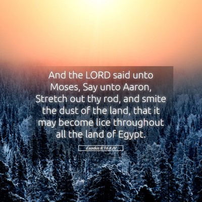 Picture 05 - Exodus 8:16 KJV - And the LORD said unto Moses, Say unto Aaron, - Bible Verse Picture