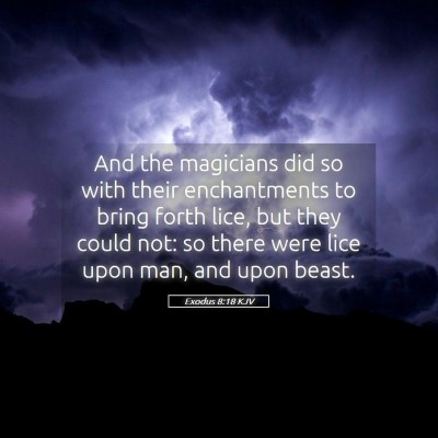 Picture 05 - Exodus 8:18 KJV - And the magicians did so with their enchantments - Bible Verse Picture