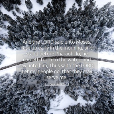 Picture 05 - Exodus 8:20 KJV - And the LORD said unto Moses, Rise up early in - Bible Verse Picture