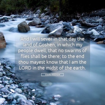 Picture 05 - Exodus 8:22 KJV - And I will sever in that day the land of Goshen, - Bible Verse Picture