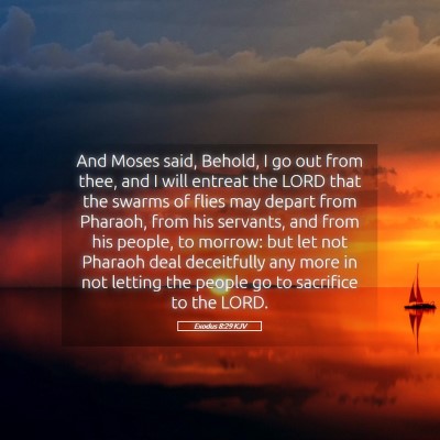 Picture 05 - Exodus 8:29 KJV - And Moses said, Behold, I go out from thee, and I - Bible Verse Picture