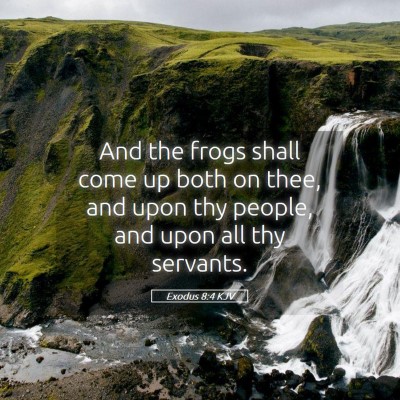 Picture 05 - Exodus 8:4 KJV - And the frogs shall come up both on thee, and - Bible Verse Picture