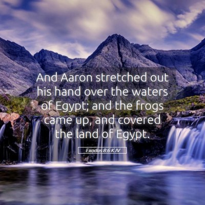 Picture 05 - Exodus 8:6 KJV - And Aaron stretched out his hand over the waters - Bible Verse Picture