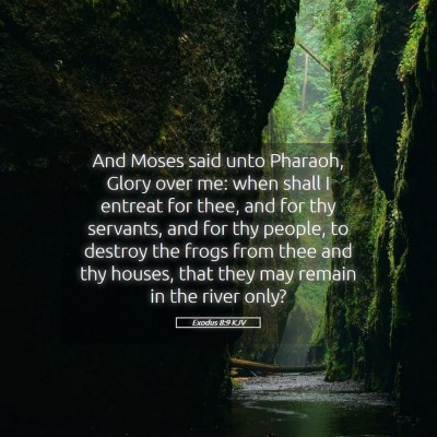 Picture 05 - Exodus 8:9 KJV - And Moses said unto Pharaoh, Glory over me: when - Bible Verse Picture