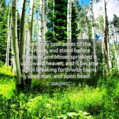 Picture 05 - Exodus 9:10 KJV - And they took ashes of the furnace, and stood - Bible Verse Picture