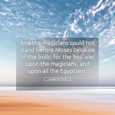 Picture 05 - Exodus 9:11 KJV - And the magicians could not stand before Moses - Bible Verse Picture