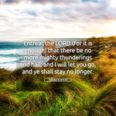 Picture 05 - Exodus 9:28 KJV - Entreat the LORD (for it is enough) that there be - Bible Verse Picture