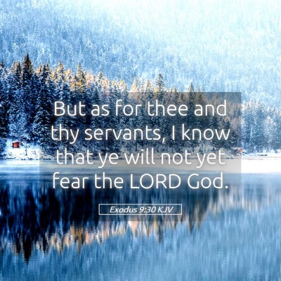 Picture 05 - Exodus 9:30 KJV - But as for thee and thy servants, I know that ye - Bible Verse Picture