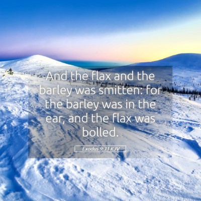 Picture 05 - Exodus 9:31 KJV - And the flax and the barley was smitten: for the - Bible Verse Picture