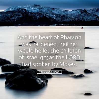 Picture 05 - Exodus 9:35 KJV - And the heart of Pharaoh was hardened, neither - Bible Verse Picture