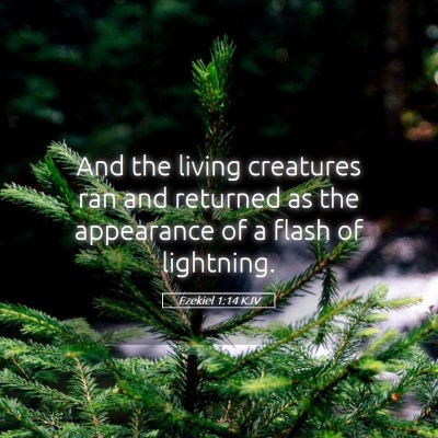 Picture 05 - Ezekiel 1:14 KJV - And the living creatures ran and returned as the - Bible Verse Picture