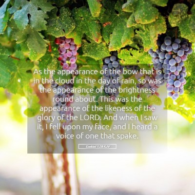Picture 05 - Ezekiel 1:28 KJV - As the appearance of the bow that is in the cloud - Bible Verse Picture