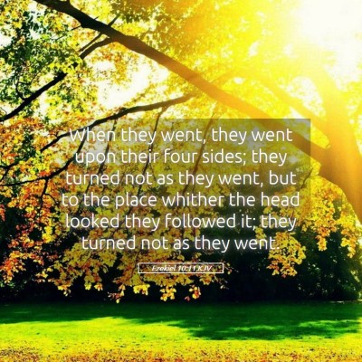 Picture 05 - Ezekiel 10:11 KJV - When they went, they went upon their four sides; - Bible Verse Picture