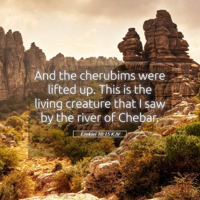 Picture 05 - Ezekiel 10:15 KJV - And the cherubims were lifted up. This is the - Bible Verse Picture