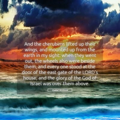 Picture 05 - Ezekiel 10:19 KJV - And the cherubims lifted up their wings, and - Bible Verse Picture