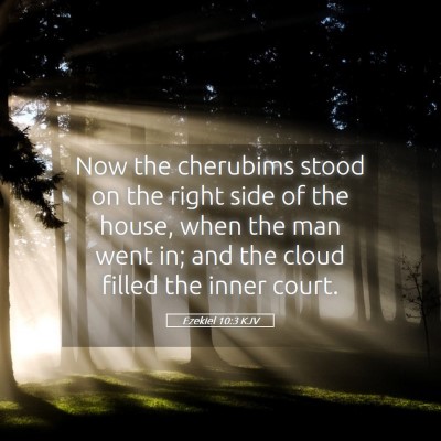 Picture 05 - Ezekiel 10:3 KJV - Now the cherubims stood on the right side of the - Bible Verse Picture