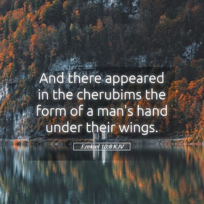 Picture 05 - Ezekiel 10:8 KJV - And there appeared in the cherubims the form of a - Bible Verse Picture