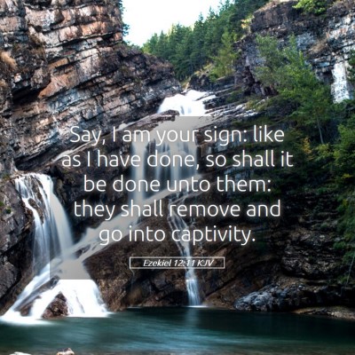 Picture 05 - Ezekiel 12:11 KJV - Say, I am your sign: like as I have done, so - Bible Verse Picture