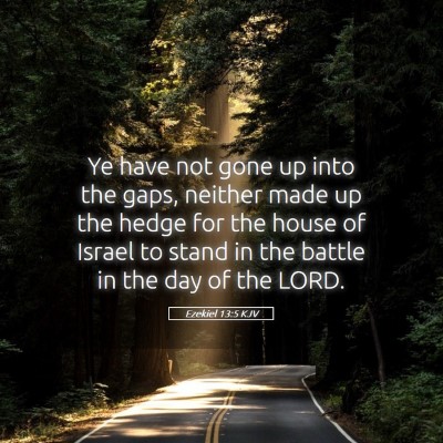 Picture 05 - Ezekiel 13:5 KJV - Ye have not gone up into the gaps, neither made - Bible Verse Picture