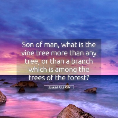 Picture 05 - Ezekiel 15:2 KJV - Son of man, what is the vine tree more than any - Bible Verse Picture