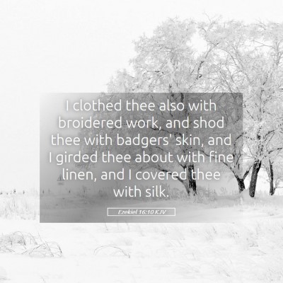 Picture 05 - Ezekiel 16:10 KJV - I clothed thee also with broidered work, and shod - Bible Verse Picture