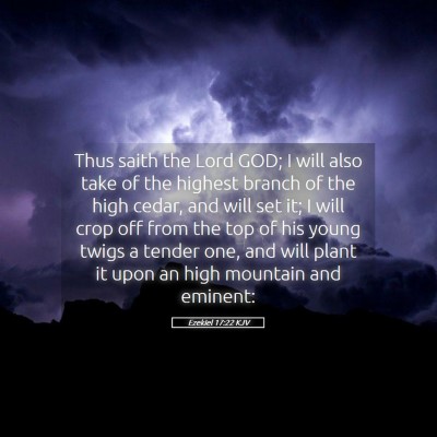Picture 05 - Ezekiel 17:22 KJV - Thus saith the Lord GOD; I will also take of the - Bible Verse Picture