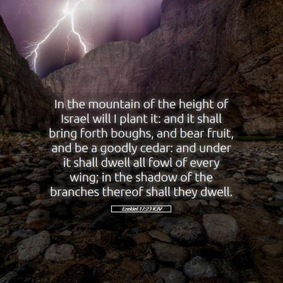Picture 05 - Ezekiel 17:23 KJV - In the mountain of the height of Israel will I - Bible Verse Picture