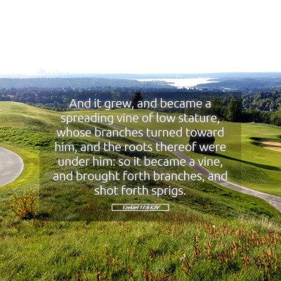Picture 05 - Ezekiel 17:6 KJV - And it grew, and became a spreading vine of low - Bible Verse Picture