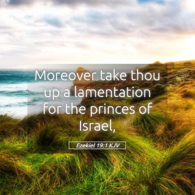 Picture 05 - Ezekiel 19:1 KJV - Moreover take thou up a lamentation for the - Bible Verse Picture