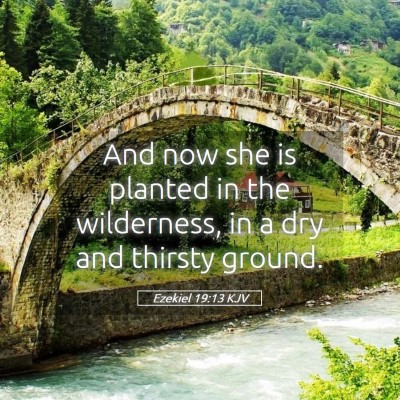 Picture 05 - Ezekiel 19:13 KJV - And now she is planted in the wilderness, in a - Bible Verse Picture