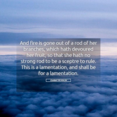 Picture 05 - Ezekiel 19:14 KJV - And fire is gone out of a rod of her branches, - Bible Verse Picture
