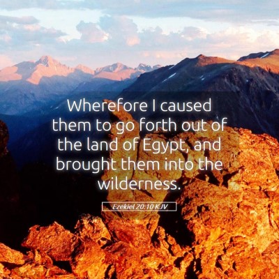 Picture 05 - Ezekiel 20:10 KJV - Wherefore I caused them to go forth out of the - Bible Verse Picture