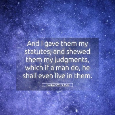 Picture 05 - Ezekiel 20:11 KJV - And I gave them my statutes, and shewed them my - Bible Verse Picture