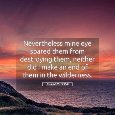 Picture 05 - Ezekiel 20:17 KJV - Nevertheless mine eye spared them from destroying - Bible Verse Picture