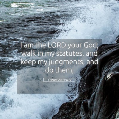 Picture 05 - Ezekiel 20:19 KJV - I am the LORD your God; walk in my statutes, and - Bible Verse Picture
