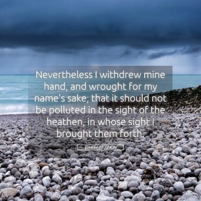 Picture 05 - Ezekiel 20:22 KJV - Nevertheless I withdrew mine hand, and wrought - Bible Verse Picture
