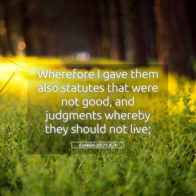 Picture 05 - Ezekiel 20:25 KJV - Wherefore I gave them also statutes that were not - Bible Verse Picture