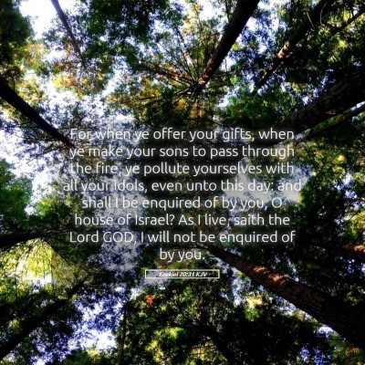 Picture 05 - Ezekiel 20:31 KJV - For when ye offer your gifts, when ye make your - Bible Verse Picture