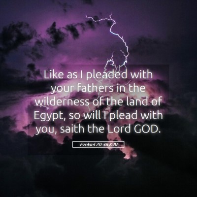 Picture 05 - Ezekiel 20:36 KJV - Like as I pleaded with your fathers in the - Bible Verse Picture