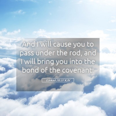 Picture 05 - Ezekiel 20:37 KJV - And I will cause you to pass under the rod, and I - Bible Verse Picture