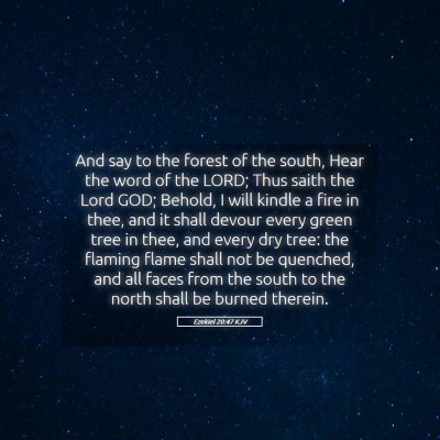 Picture 05 - Ezekiel 20:47 KJV - And say to the forest of the south, Hear the word - Bible Verse Picture