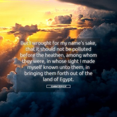 Picture 05 - Ezekiel 20:9 KJV - But I wrought for my name's sake, that it should - Bible Verse Picture