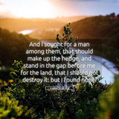 Picture 05 - Ezekiel 22:30 KJV - And I sought for a man among them, that should - Bible Verse Picture