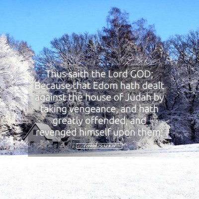 Picture 05 - Ezekiel 25:12 KJV - Thus saith the Lord GOD; Because that Edom hath - Bible Verse Picture
