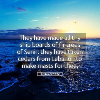 Picture 05 - Ezekiel 27:5 KJV - They have made all thy ship boards of fir trees - Bible Verse Picture